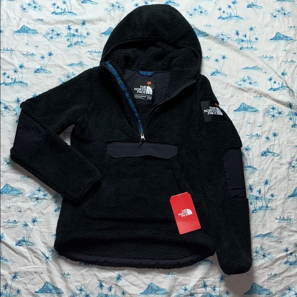 The North Face Novelty Campshire Pullover Hoodie
